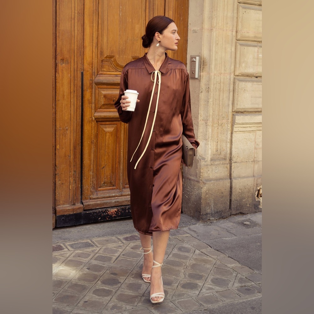 Nutty Hues Vintage Silk Blouse Dress